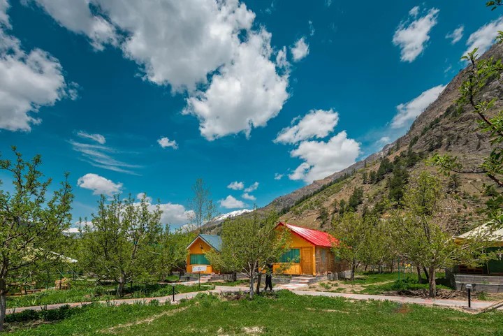 Cedar Huts