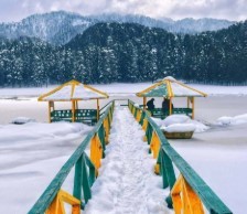Best Of Dalhousie - 2N