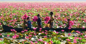 Kerala Kumarakom Malarikkal Tour - 4 Nights destination