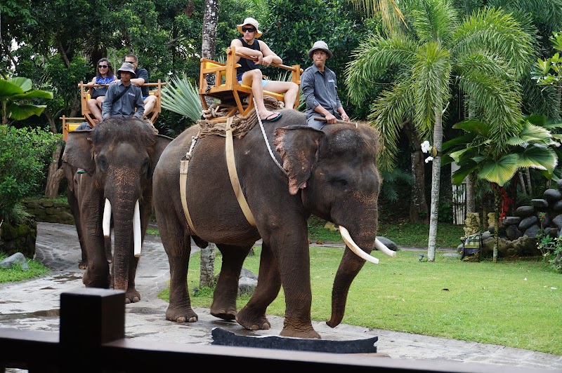 Bali Zoo