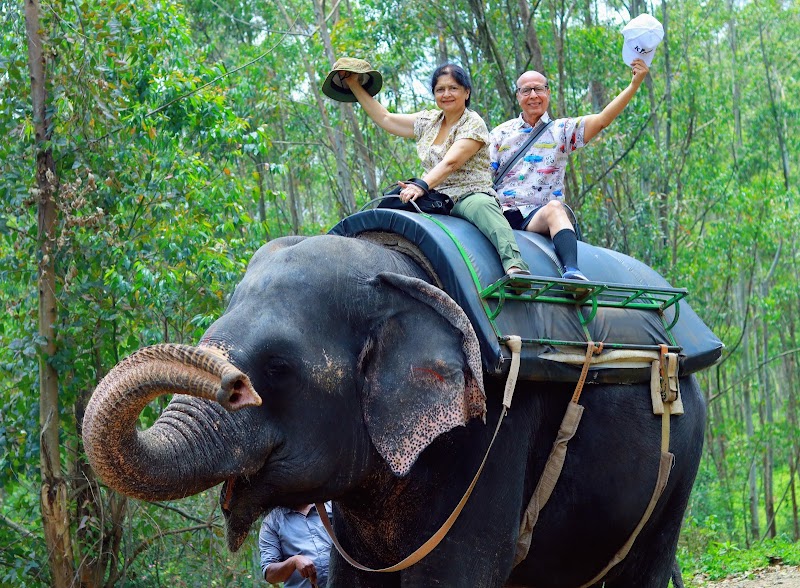 Carmelagiri Elephant Park