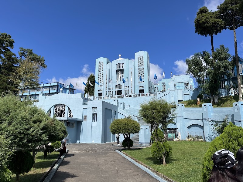 Cathedral of Mary Help of Christians