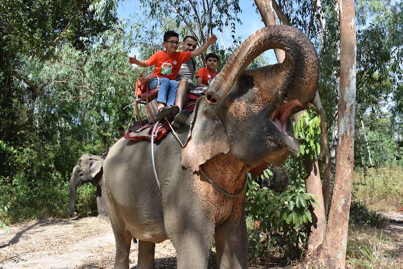 Chang Thai Thappraya Safari