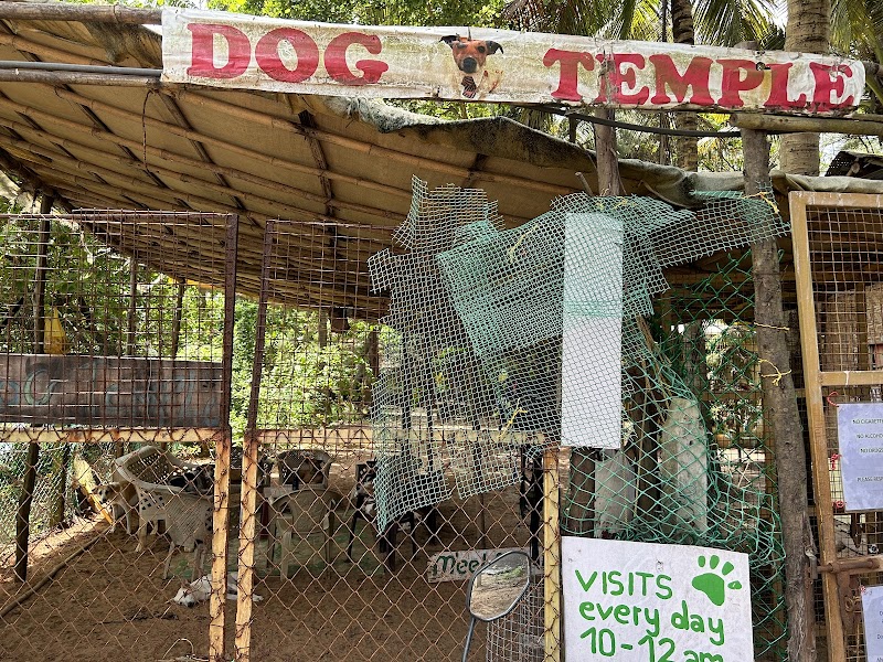 Dog Temple