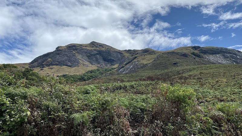 Eravikulam National Park