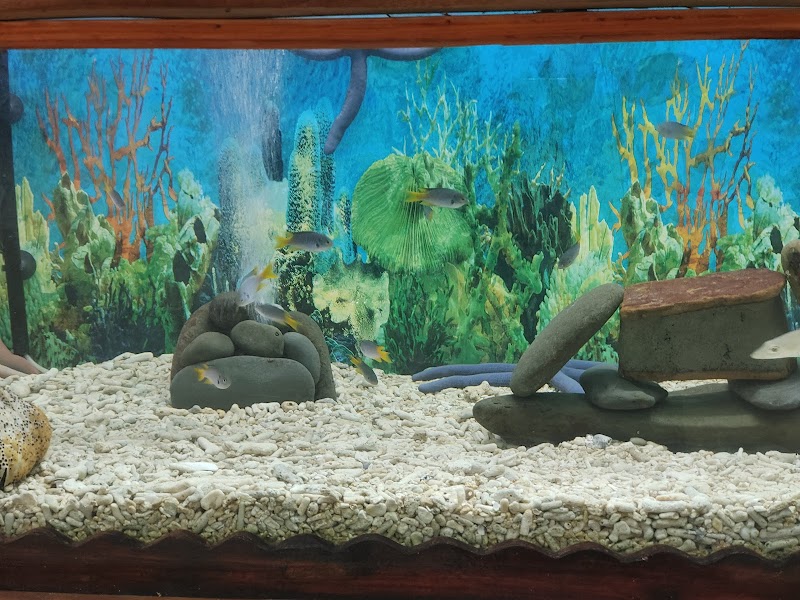 Fisheries Musueum Cum Aquarium