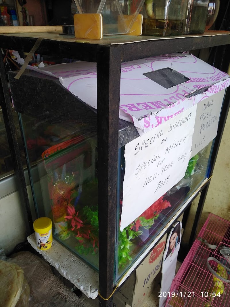 Fresh N Frozen Cold Storage