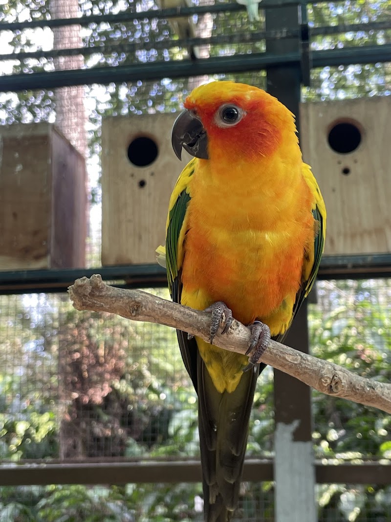 Gp Ecotic Land-Coffee &Eco Tourism Spot