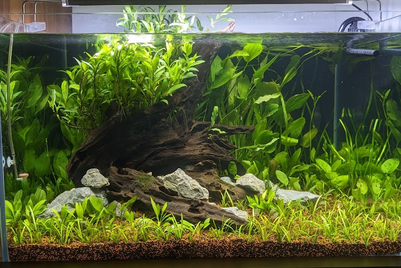 Green museum aquariums and terrariums