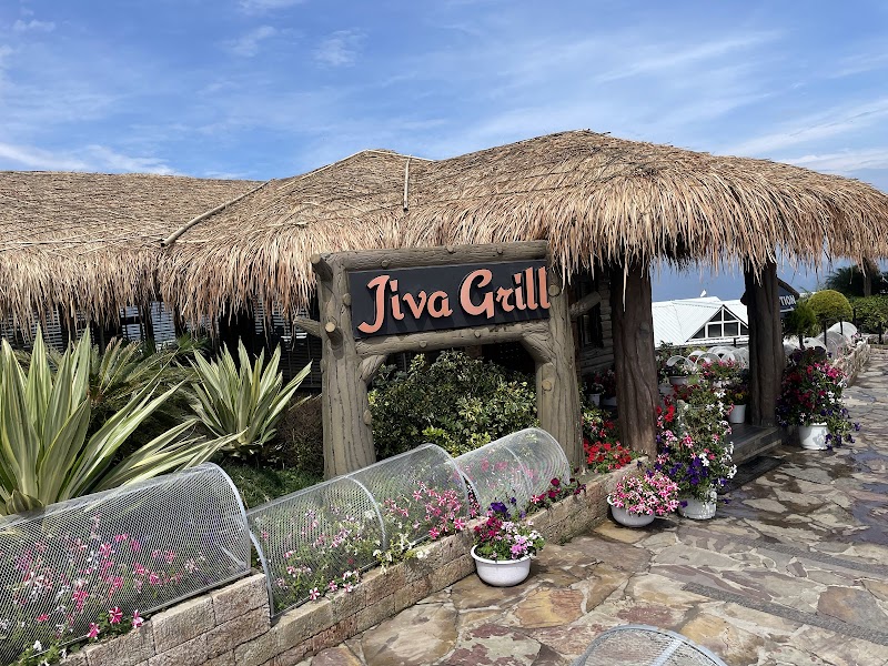 Jiva Grill