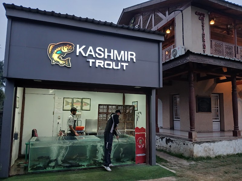 Kashmir Trout (Rainawari)