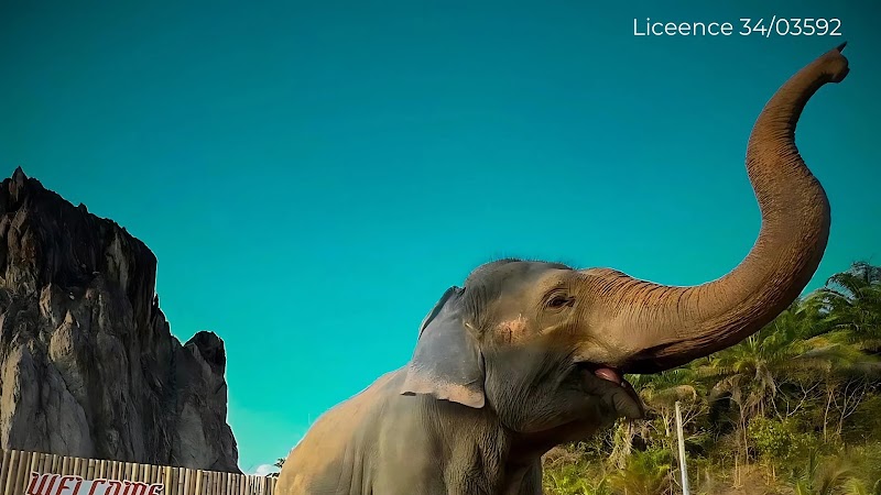 Krabi elephant phu jungle cliff
