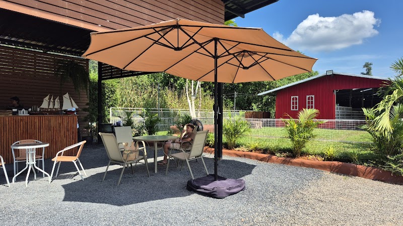 LAND PARK FARM Playtime with animals friends