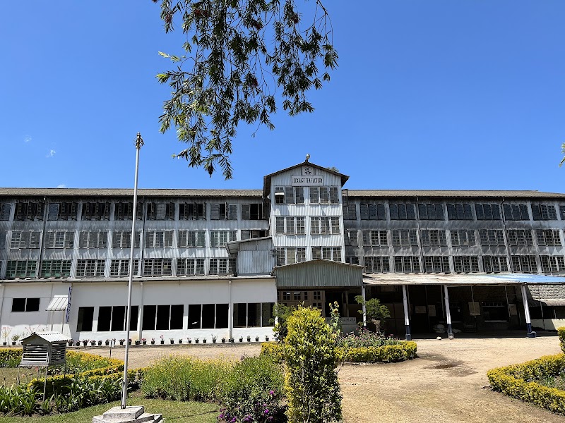 Lockhart Tea Museum