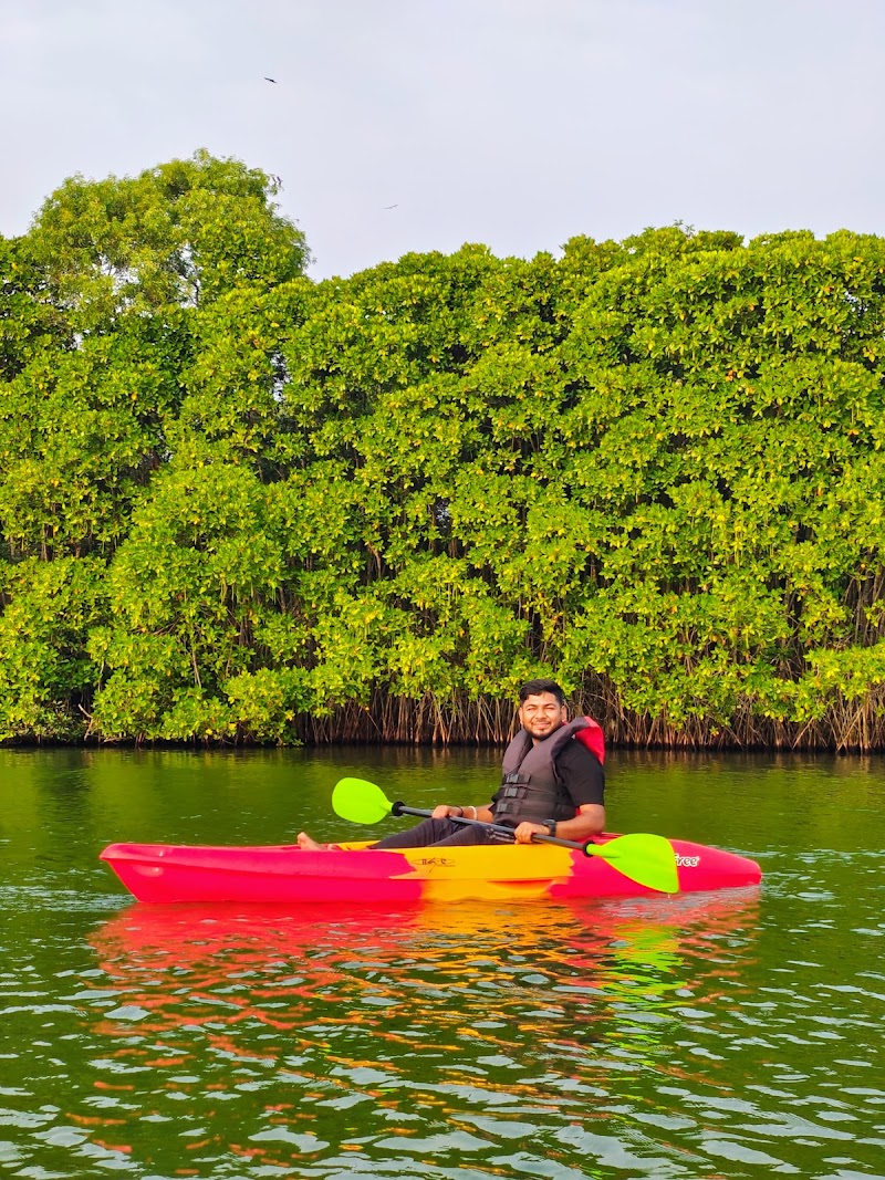 Mangrove Spot