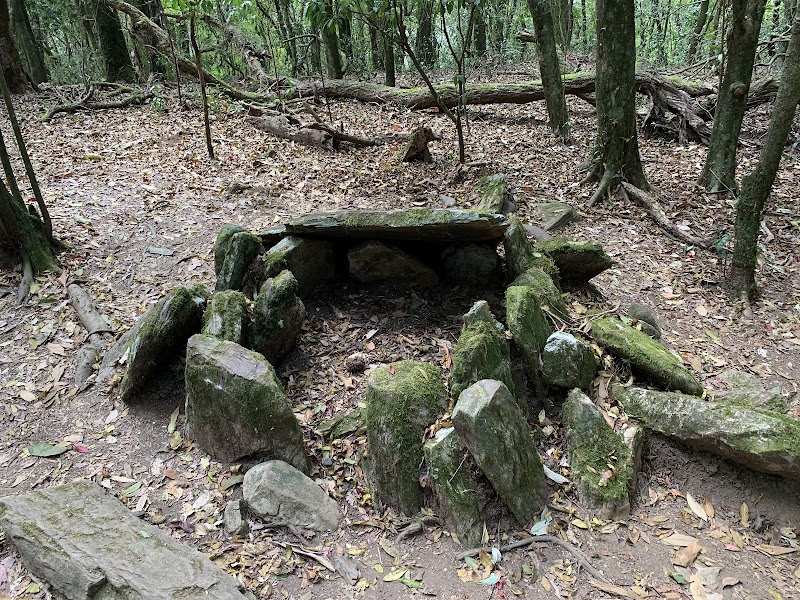 Mawphlang Sacred Forest