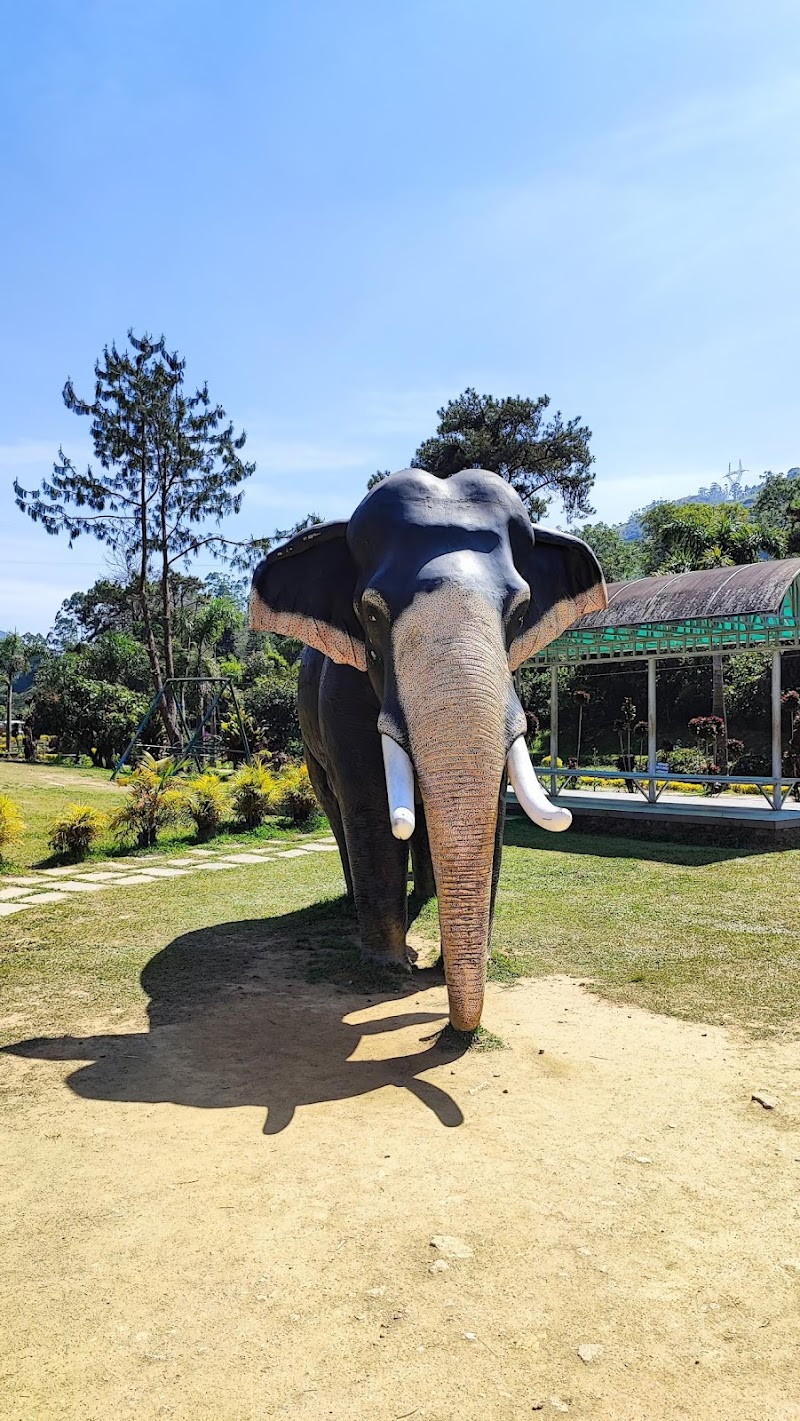 Munnar Flower Show Garden