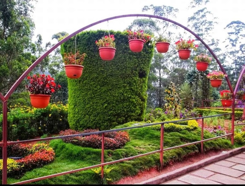 Munnar Rose Garden