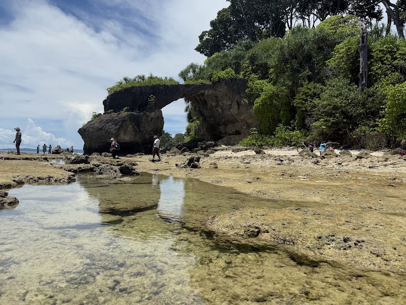 Natural bridge tourist guide