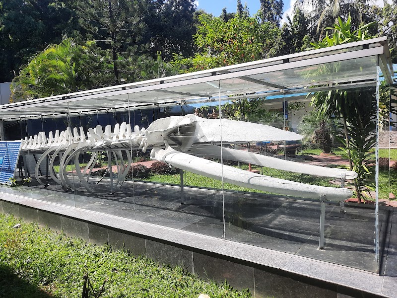 Naval Marine Museum Samudrika