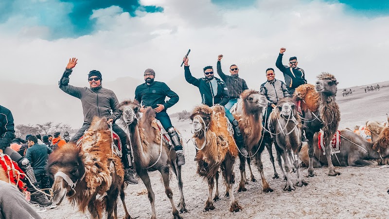 Nubra Valley Sand Dunes