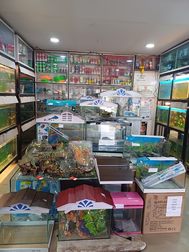 Ocean Pearl aquariums