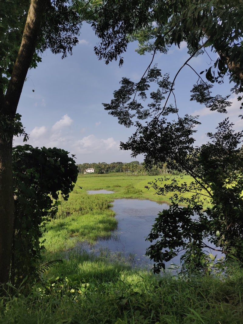 Panamaram Nada Viewpoint