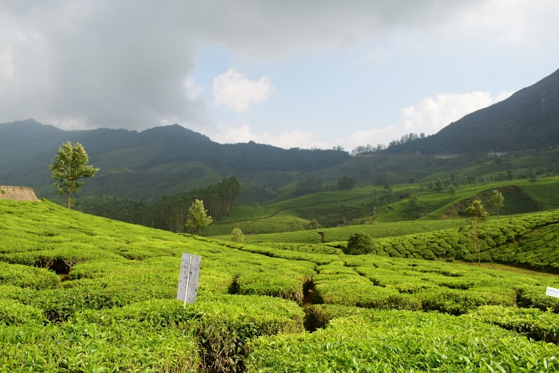 RAJAMALAI HILLS CHECKPOST