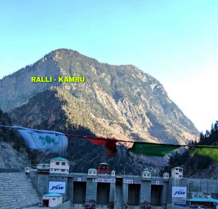 RALLI (meaber) kinnaur