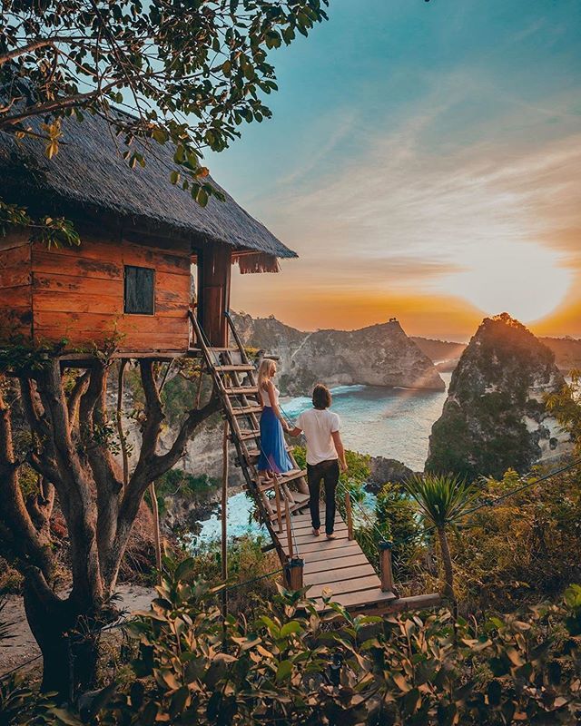 Rumah Pohon "Tree House"