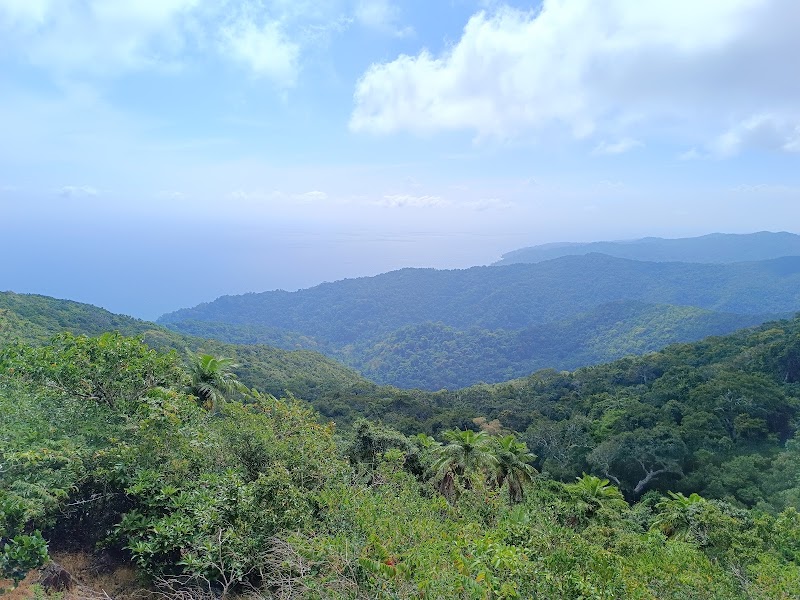 Saddle Peak top view