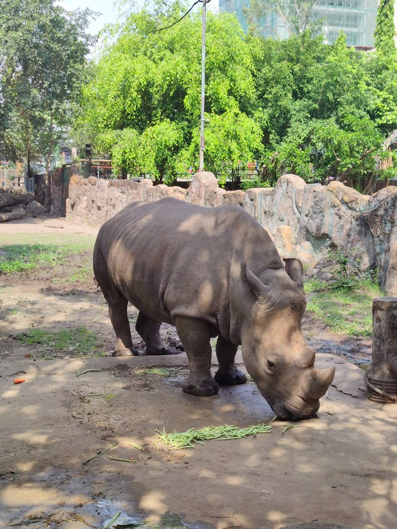 Saigon Zoo & Botanical Gardens