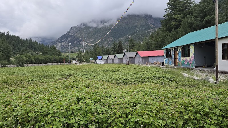 Sangla Valley Camping