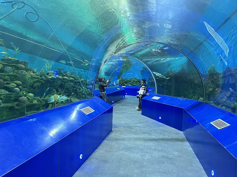 Science City Ahmedabad