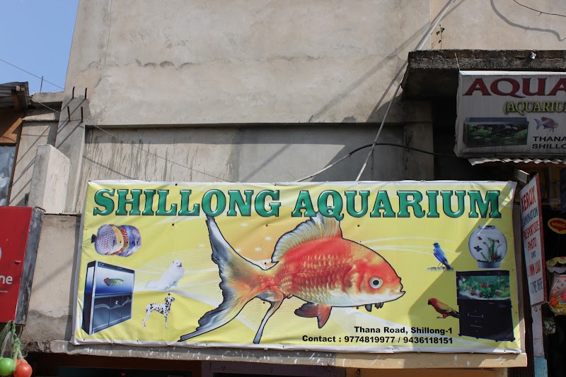 Shillong Pet & Aquarium