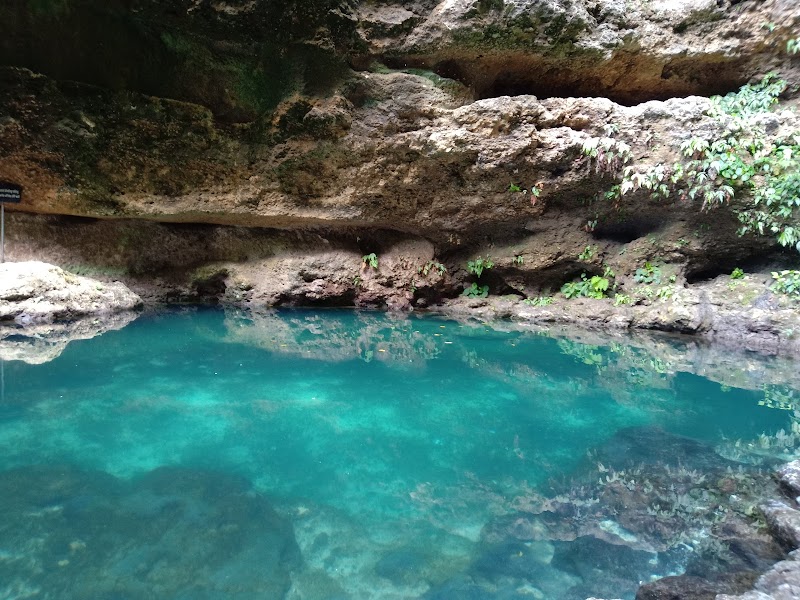 Tembeling Beach and Forest