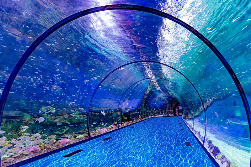 The National Aquarium Abu Dhabi