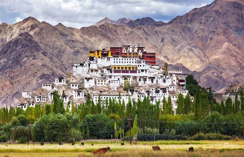 Thiksey Monastery