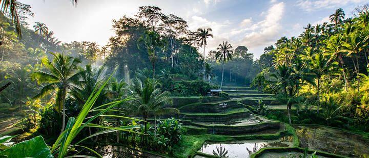 Ubud
