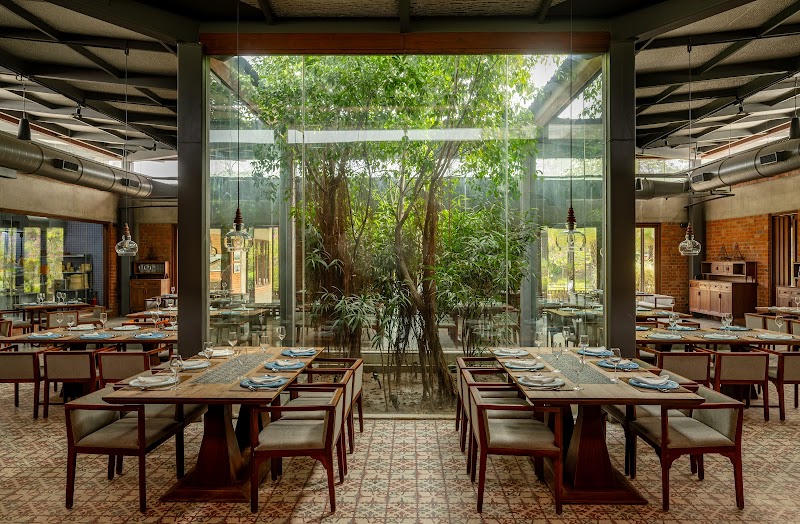 Under The Neem Trees