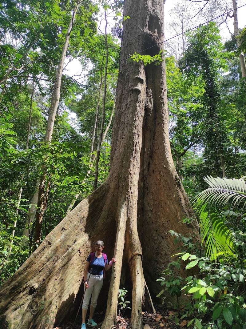 Walking Path To Elephant Beach