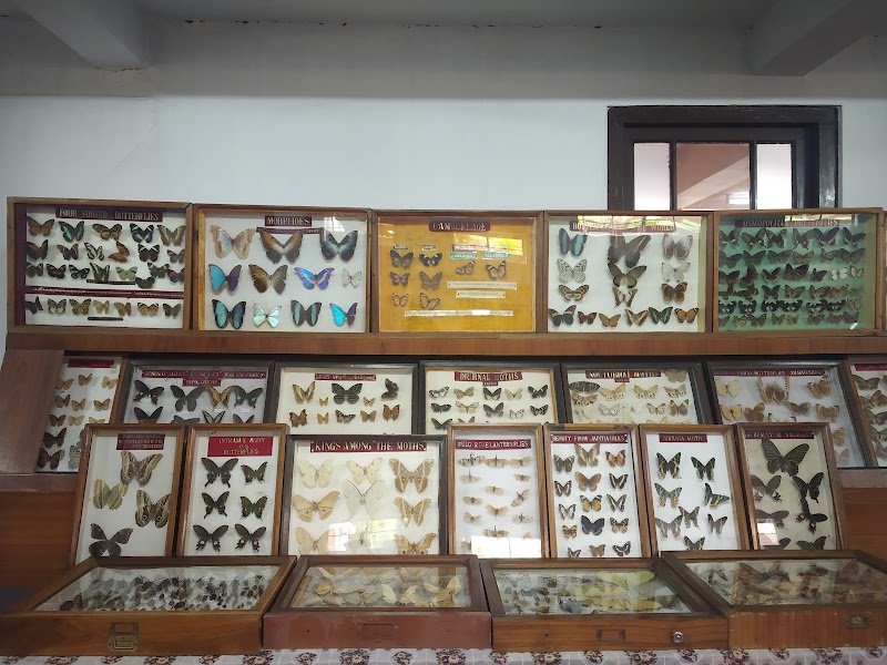 Wankhar Entomology Museum