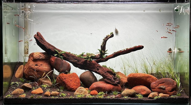 World Of NatureScapes